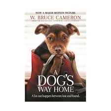a-dogs-way-home-1.jpg