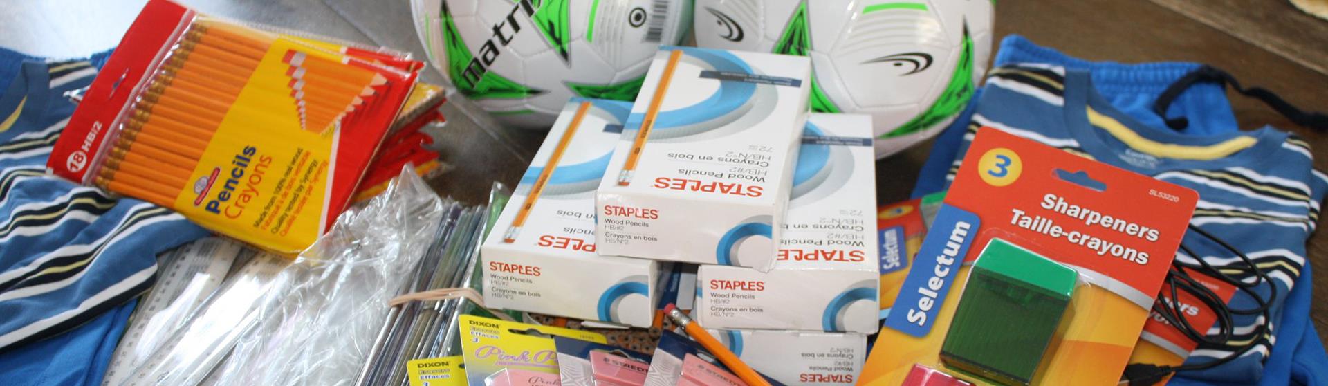 7 Areas of Rotary Service Rotary Club of Lindsay