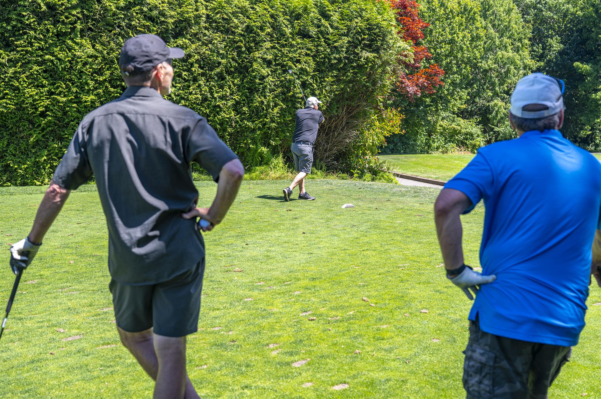 Rotary-golf-2026-Z6--273.jpg