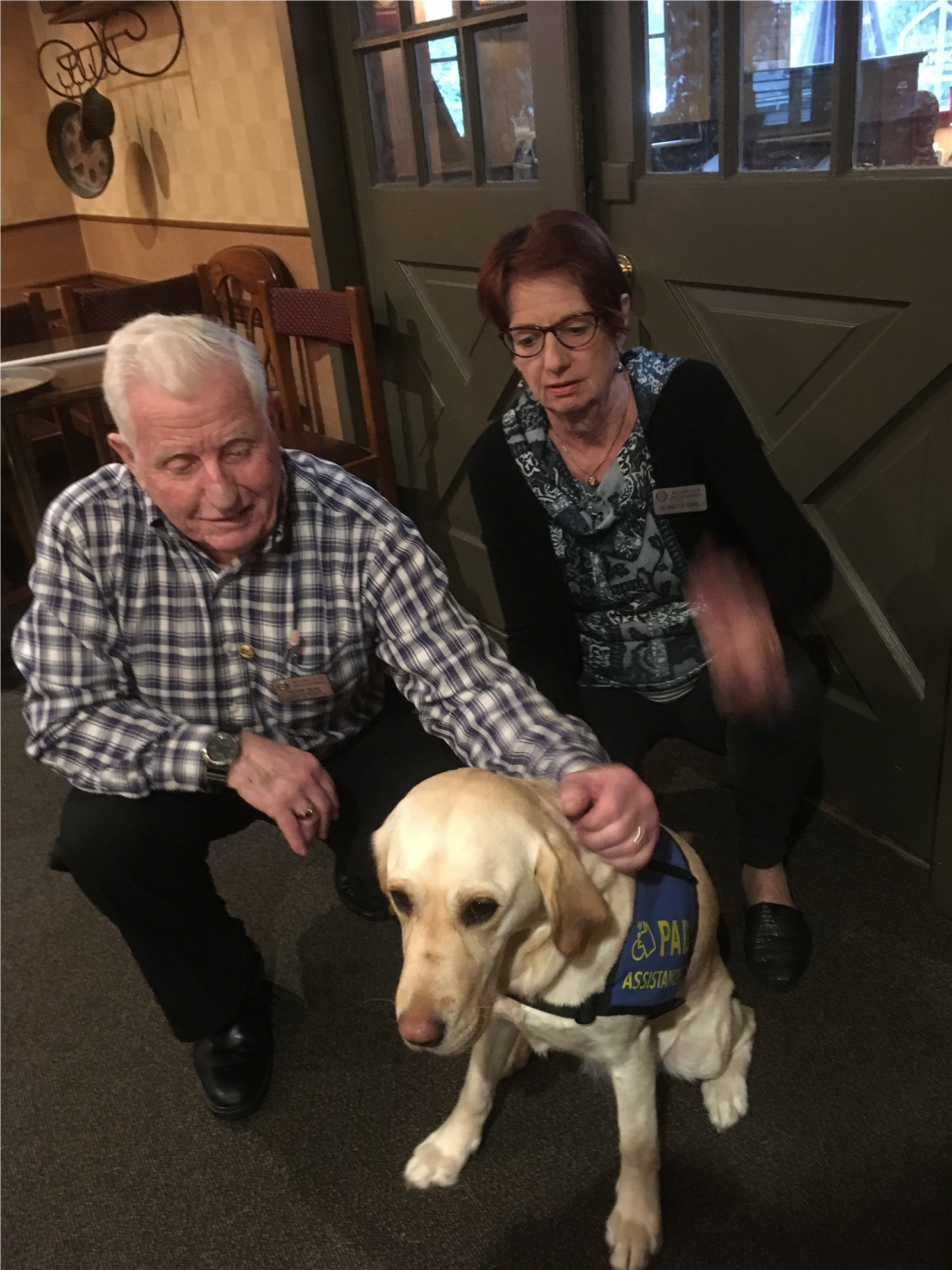 Roo -- Service Dog Purchased for Sophie's Place