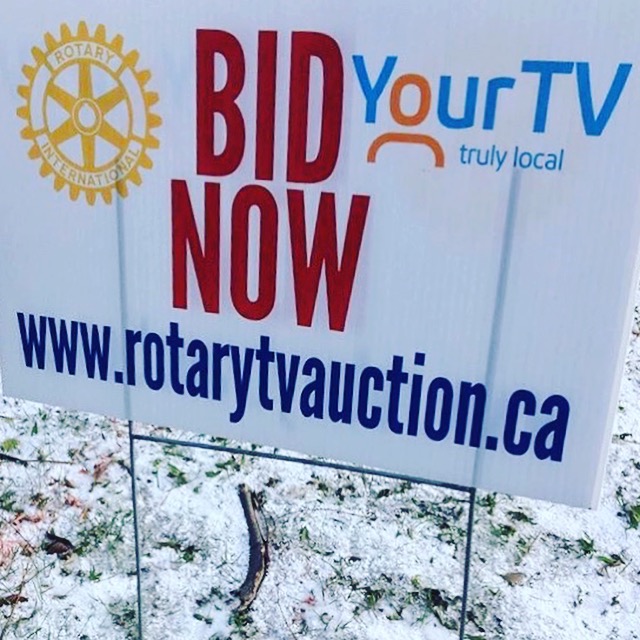 TVauctionlawnsign.jpg