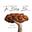 The Baking Bar