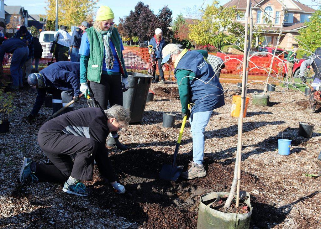 Mini Forest Planting