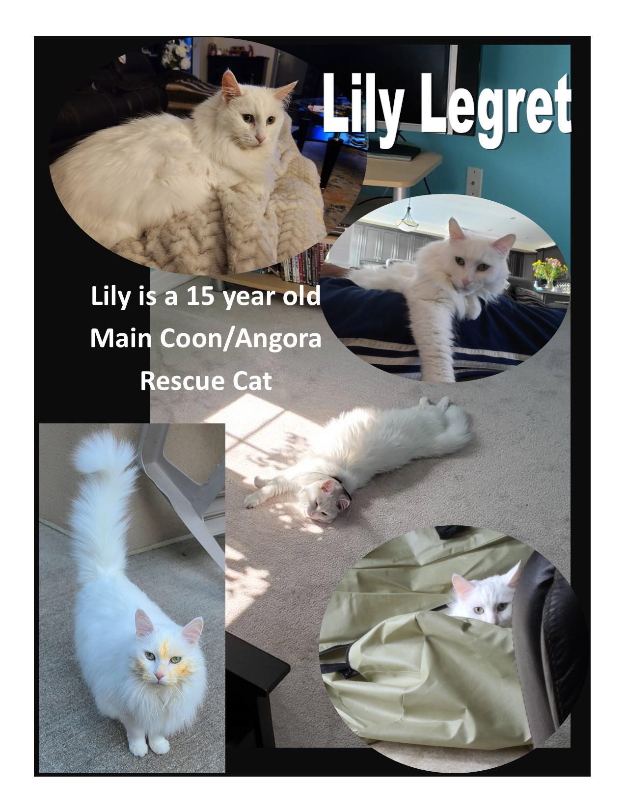 Lily Legret