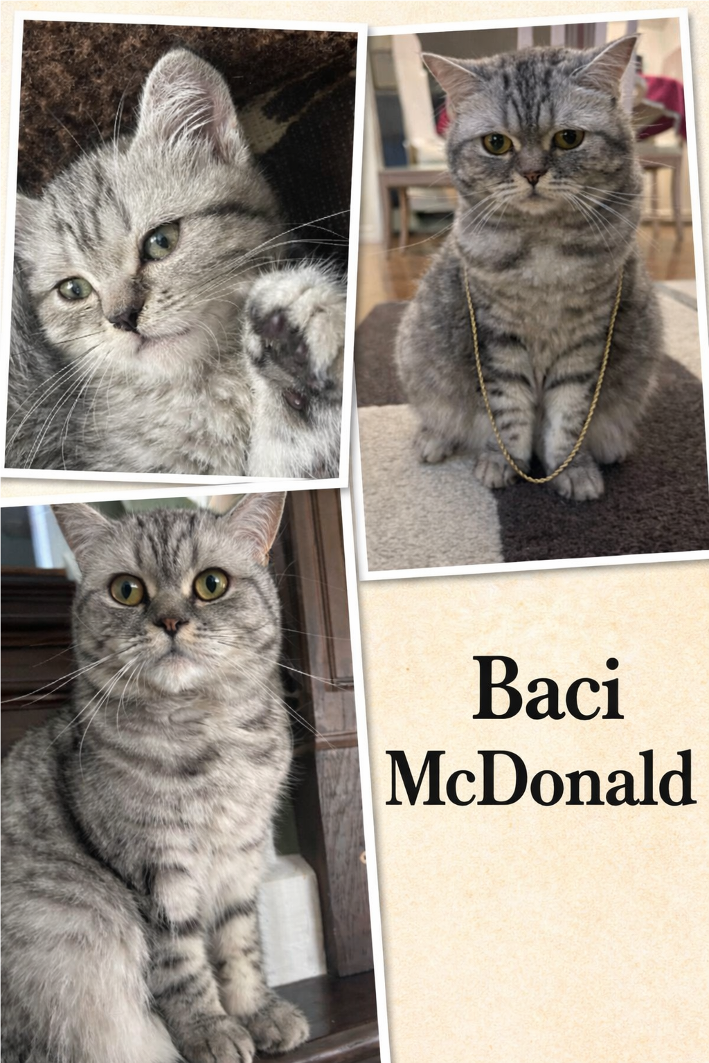 Baci McDonald