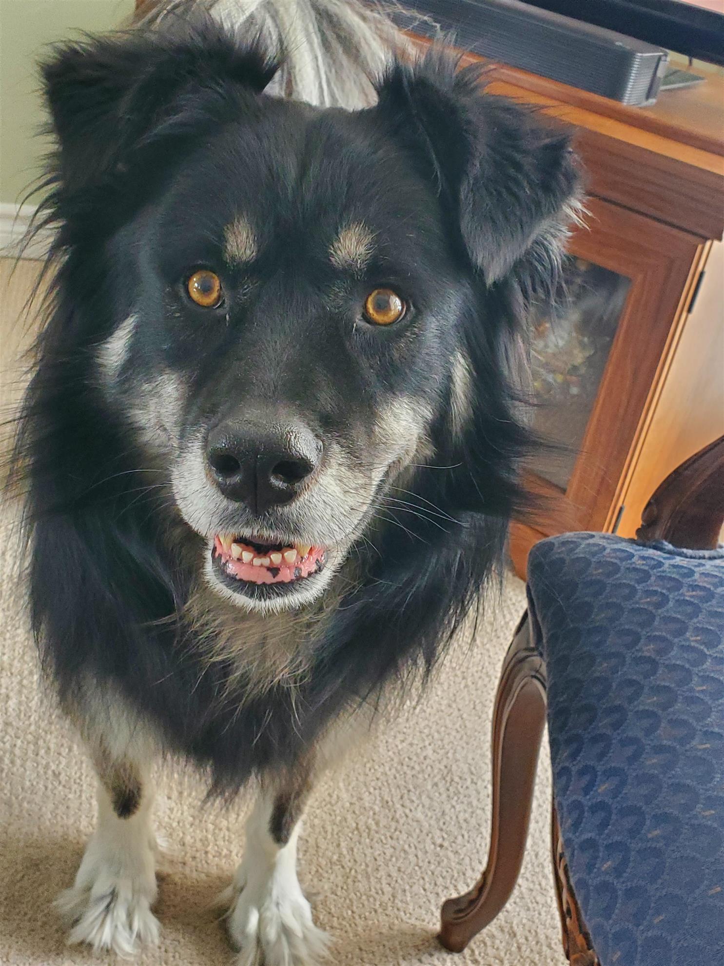 Teddy Bear Thompson