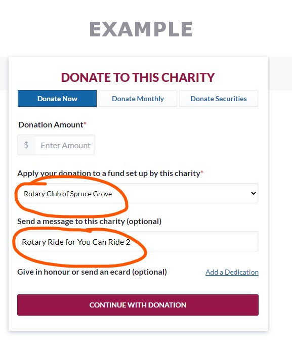 Donation Form Example