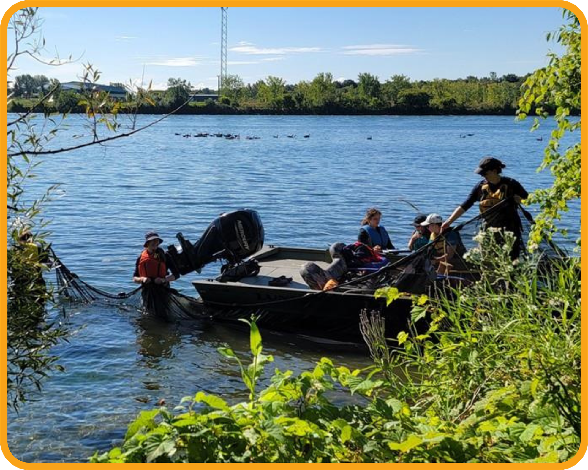 Students collecting samples from a boat during Adventures in the Environment