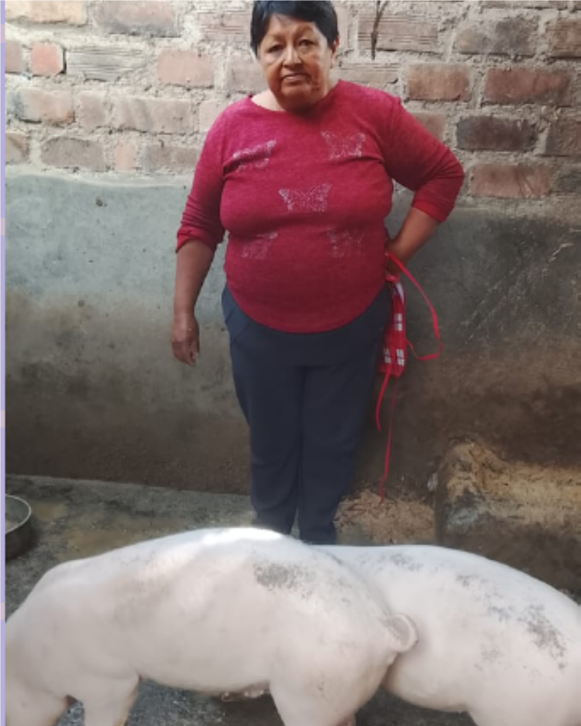 Carmen, with her pigs