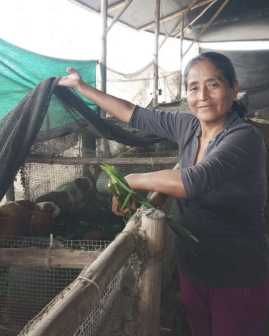 Rosario selling fruit she harvests and livestock she raises