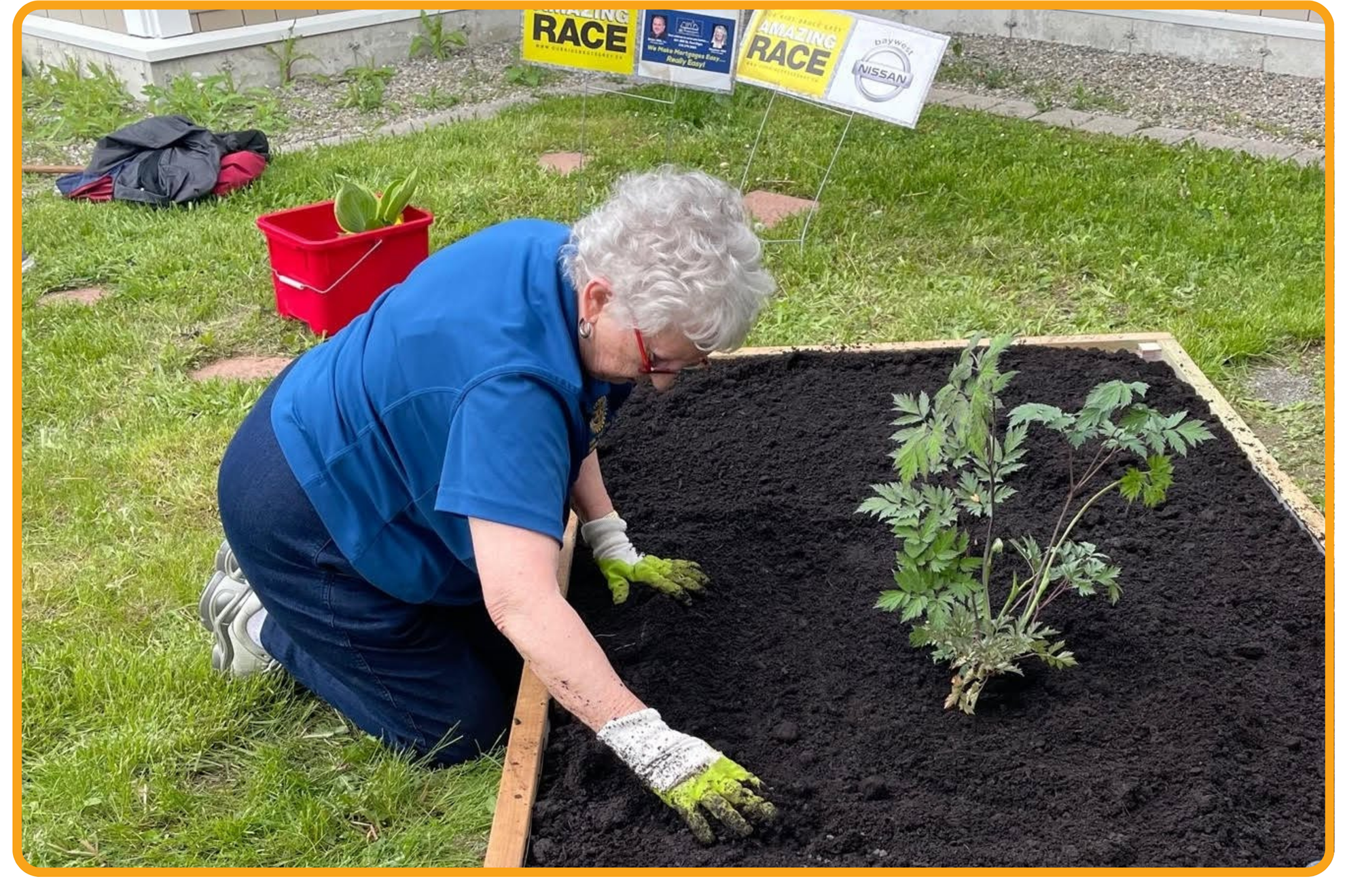 Volunteer planting in ready bed