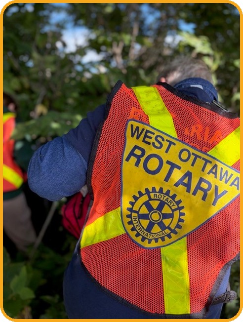 Close up of the back of a West Ottawa Rotary high visibility vest as a volunteer works in dense greenery.