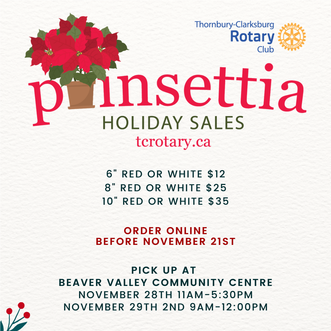 Poinsettia Sale Fundraiser