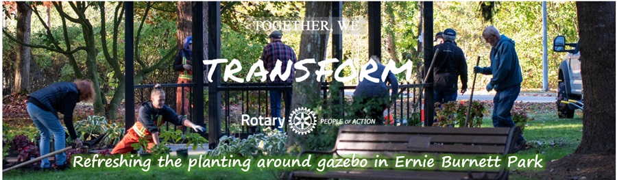 Gazebo-Garden---Transformweb.jpg