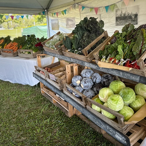 Harvest Festival 2024 Ladner 2024 Carlin Albertine