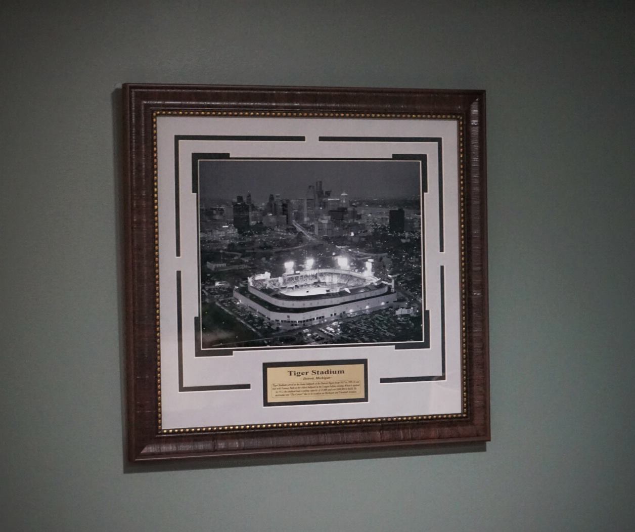 Tiger Stadiam Framed Picture.