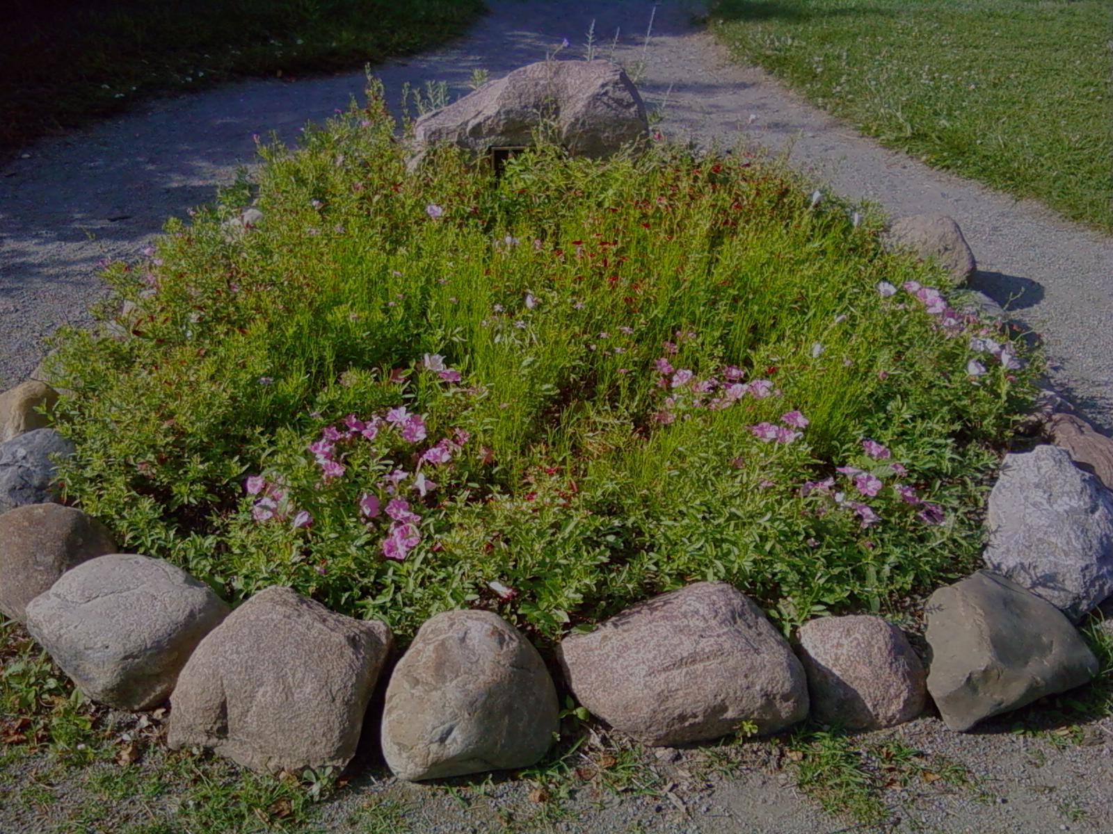 RCAAN Butterfly & Hummingbird Garden at Gallup Park Ann Arbor Rotary