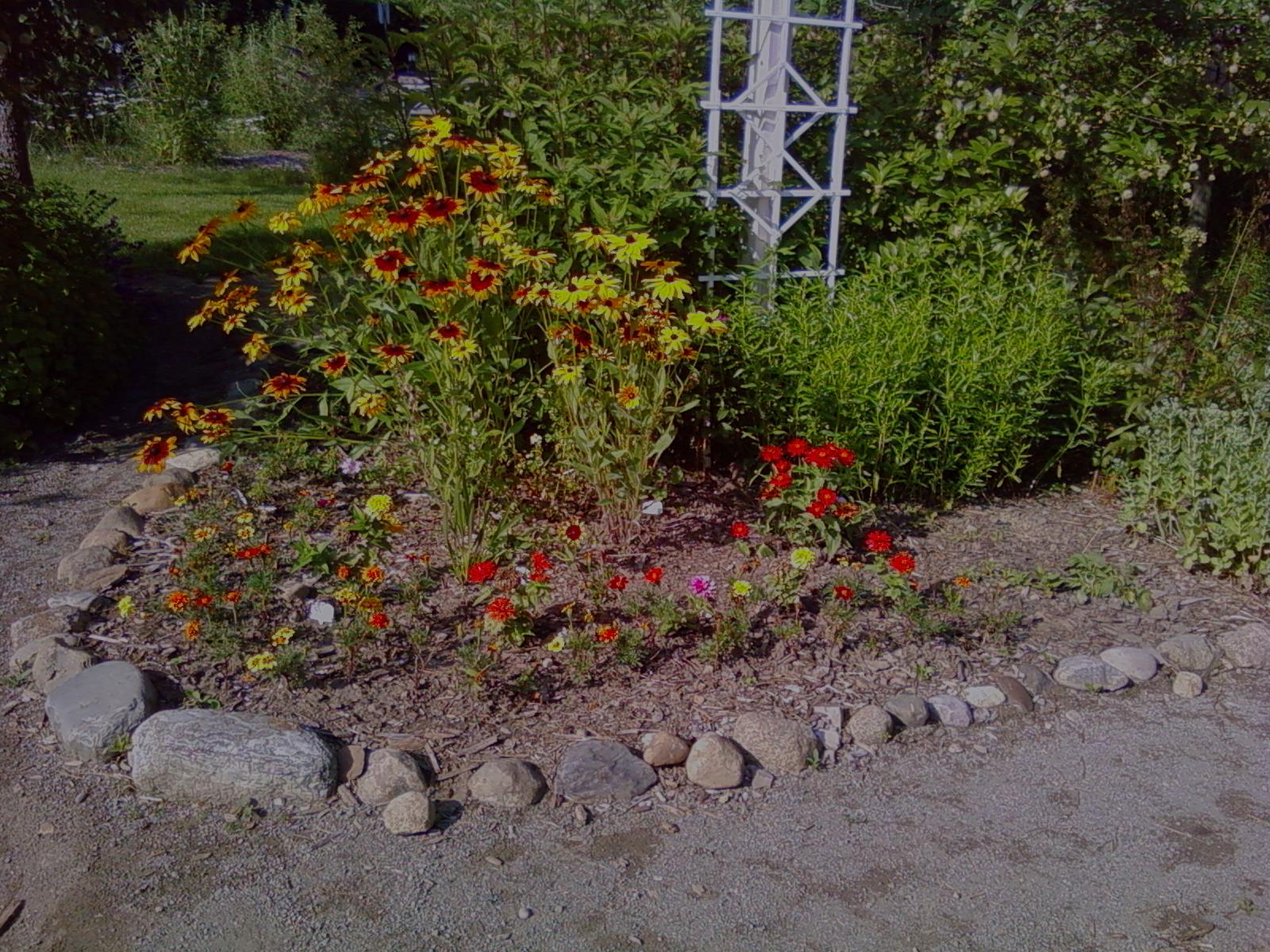 RCAAN Butterfly & Hummingbird Garden at Gallup Park Ann Arbor Rotary