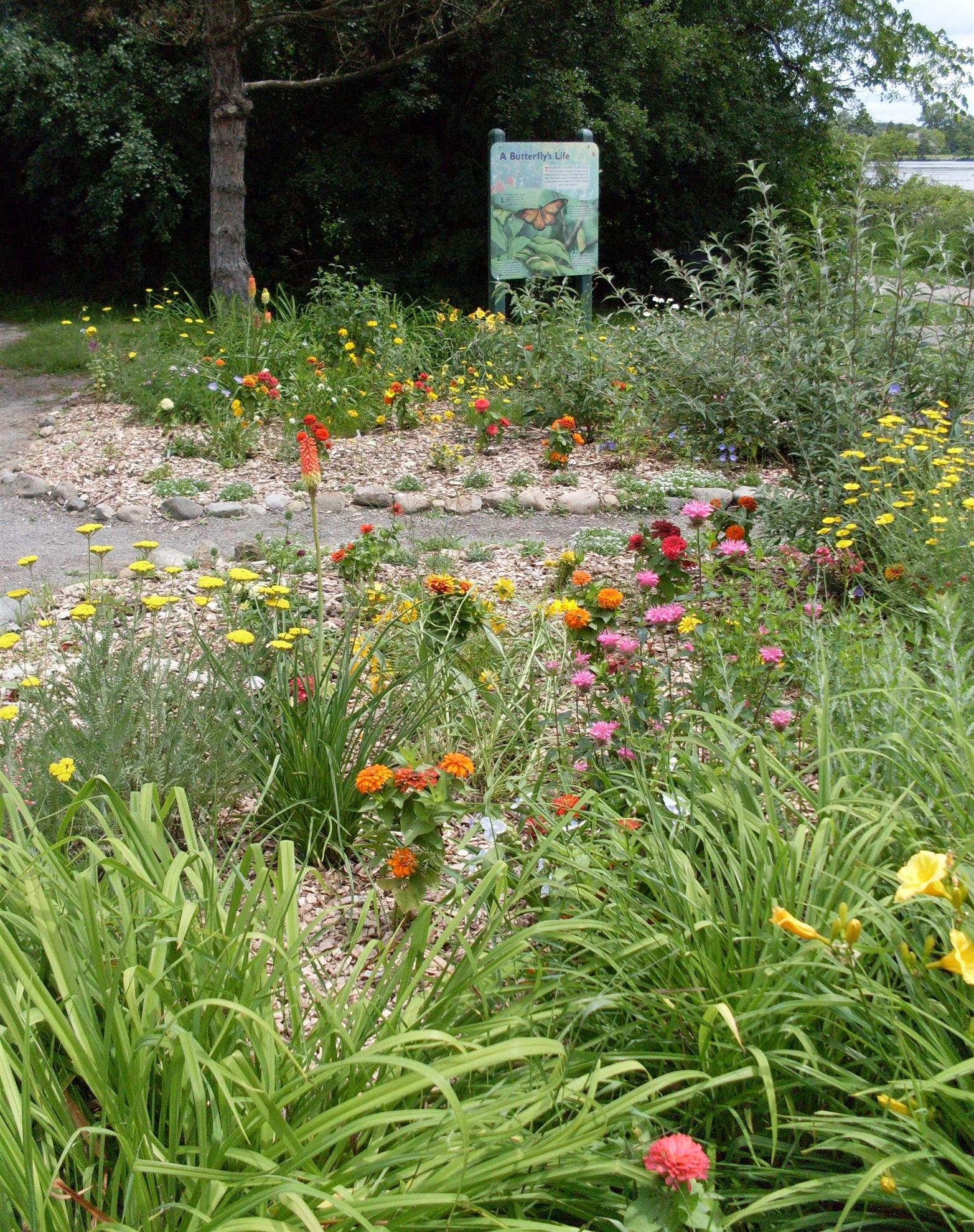 RCAAN Butterfly & Hummingbird Garden at Gallup Park Ann Arbor | Rotary ...