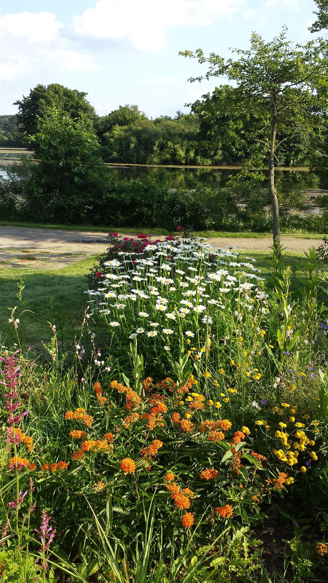 RCAAN Butterfly & Hummingbird Garden at Gallup Park Ann Arbor Rotary