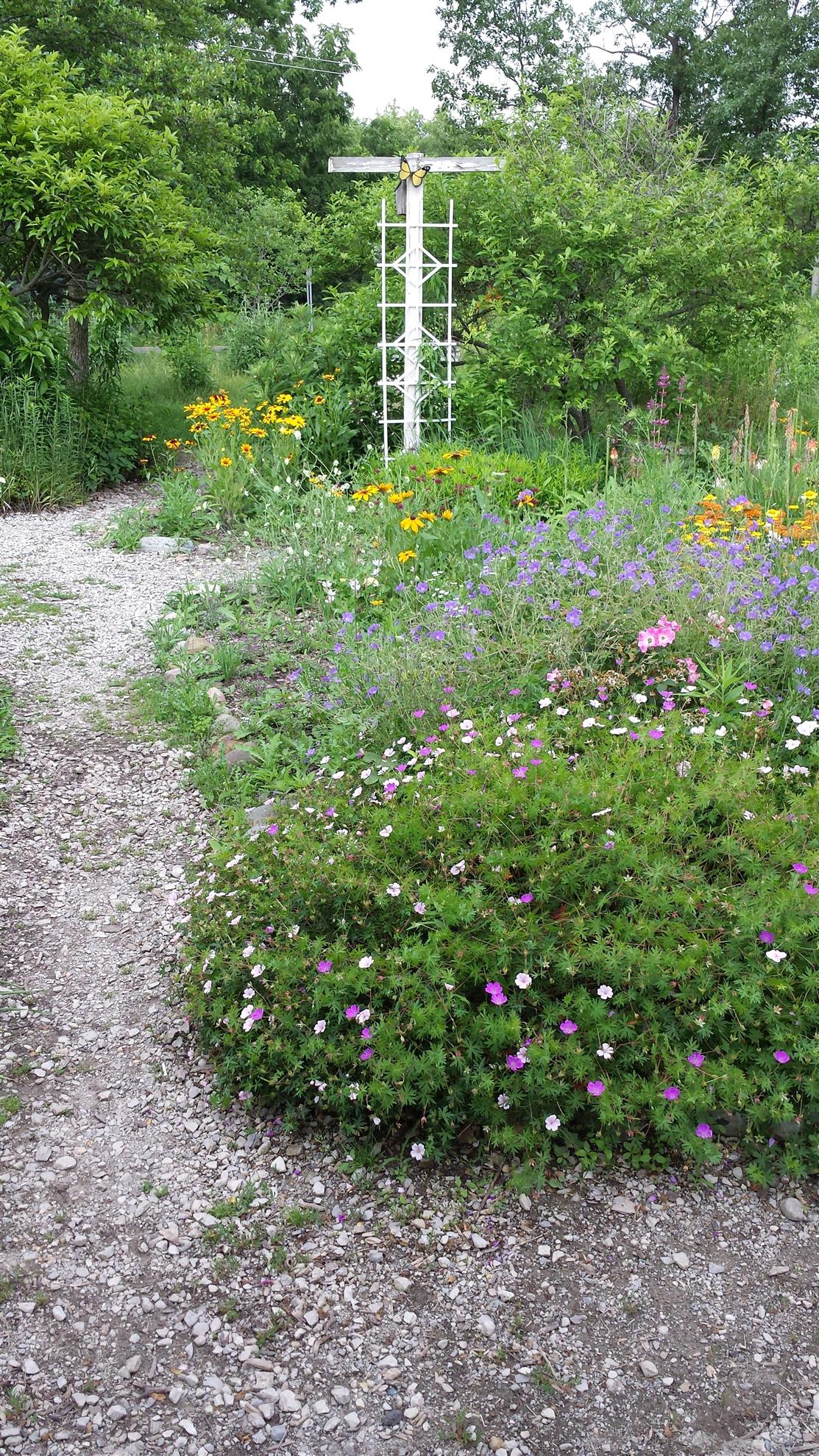 RCAAN Butterfly & Hummingbird Garden at Gallup Park Ann Arbor Rotary