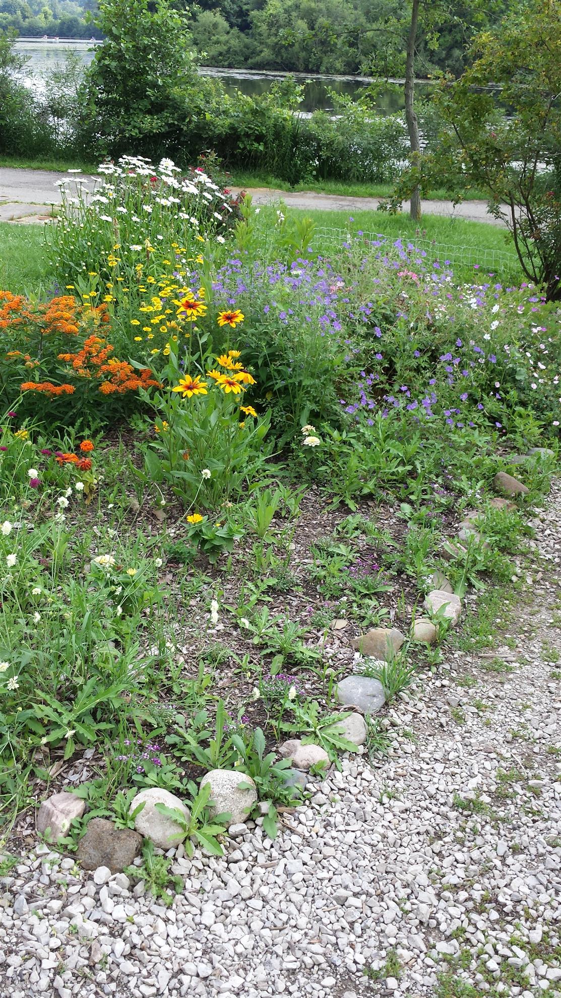 RCAAN Butterfly & Hummingbird Garden at Gallup Park Ann Arbor Rotary