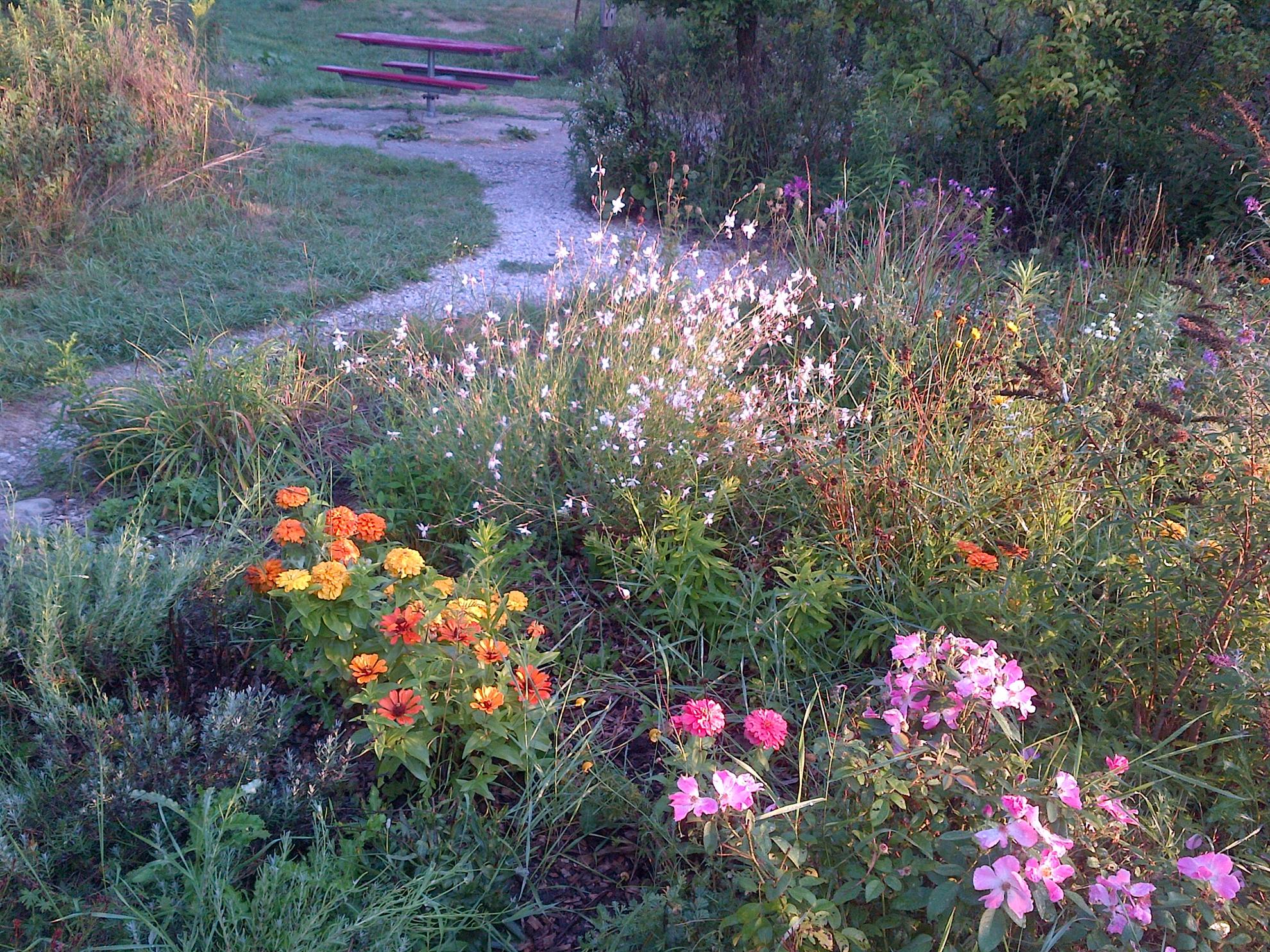 RCAAN Butterfly & Hummingbird Garden at Gallup Park Ann Arbor Rotary