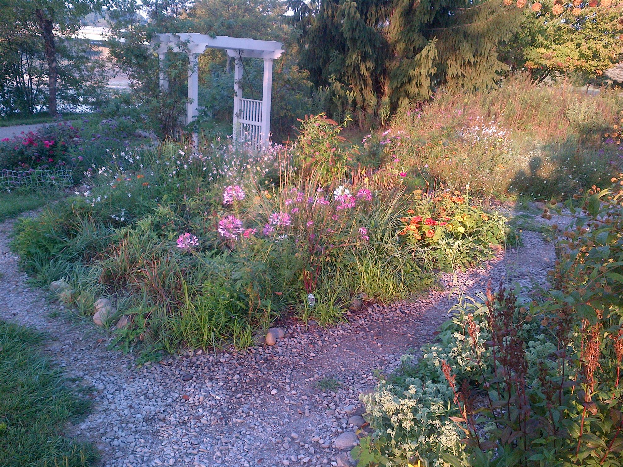 RCAAN Butterfly & Hummingbird Garden at Gallup Park Ann Arbor Rotary