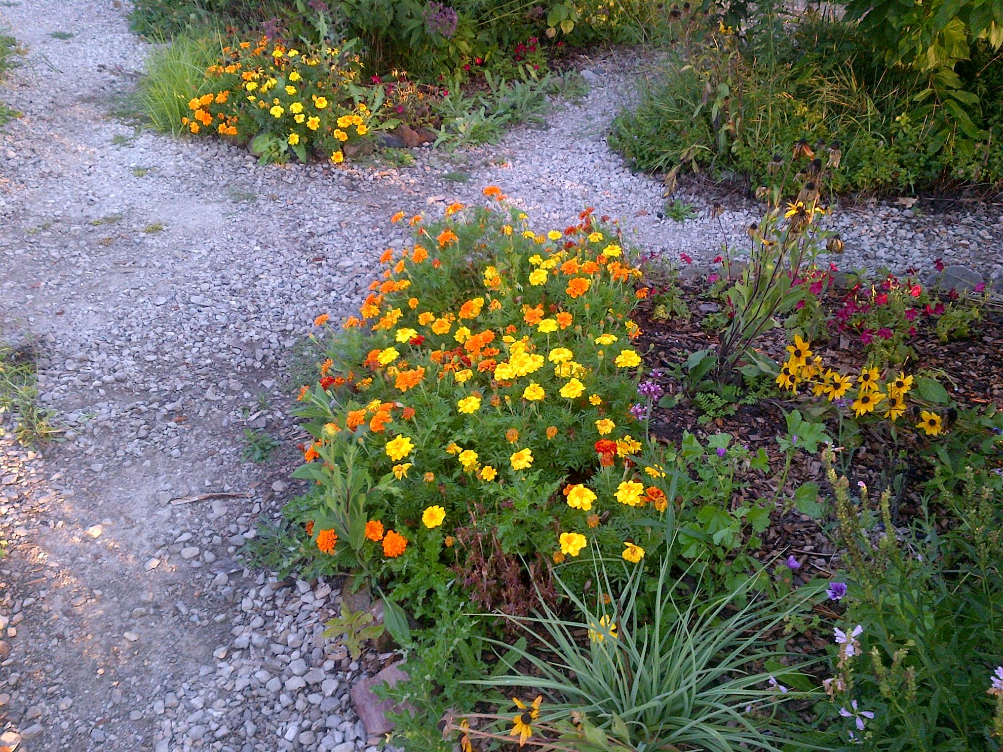 RCAAN Butterfly & Hummingbird Garden at Gallup Park Ann Arbor Rotary