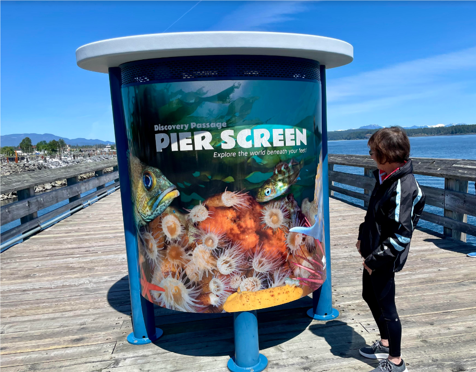 Discovery Pier Interactive Display