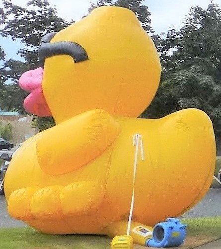 Silverdale Rotary Breeze June 21 21 Jun 21 21 Silverdale Rotary Breeze June 21 21 Jun 21 21