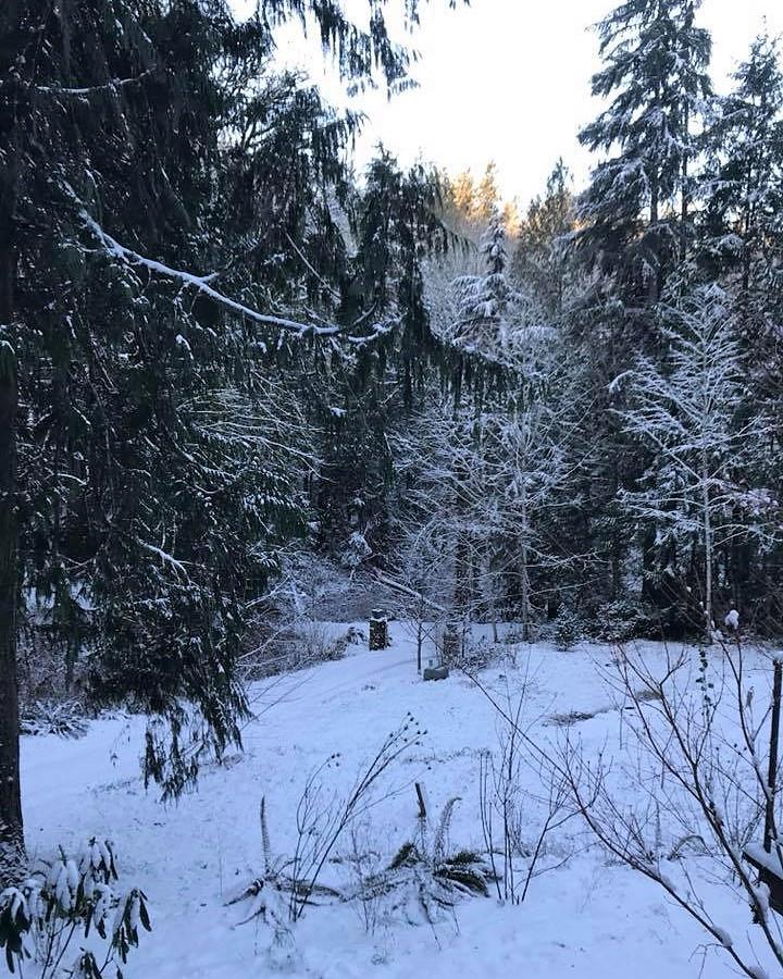 Snow on Our Meeting Day! Rotary Club of Silverdale