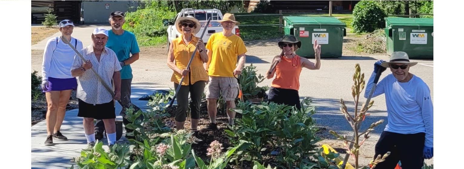 Operation Pollination