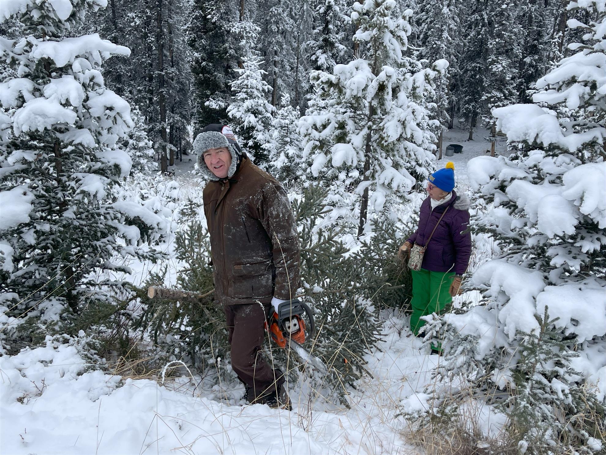Christmas Tree Harvest for the Boys and Girls Club of Cochrane -2024-a