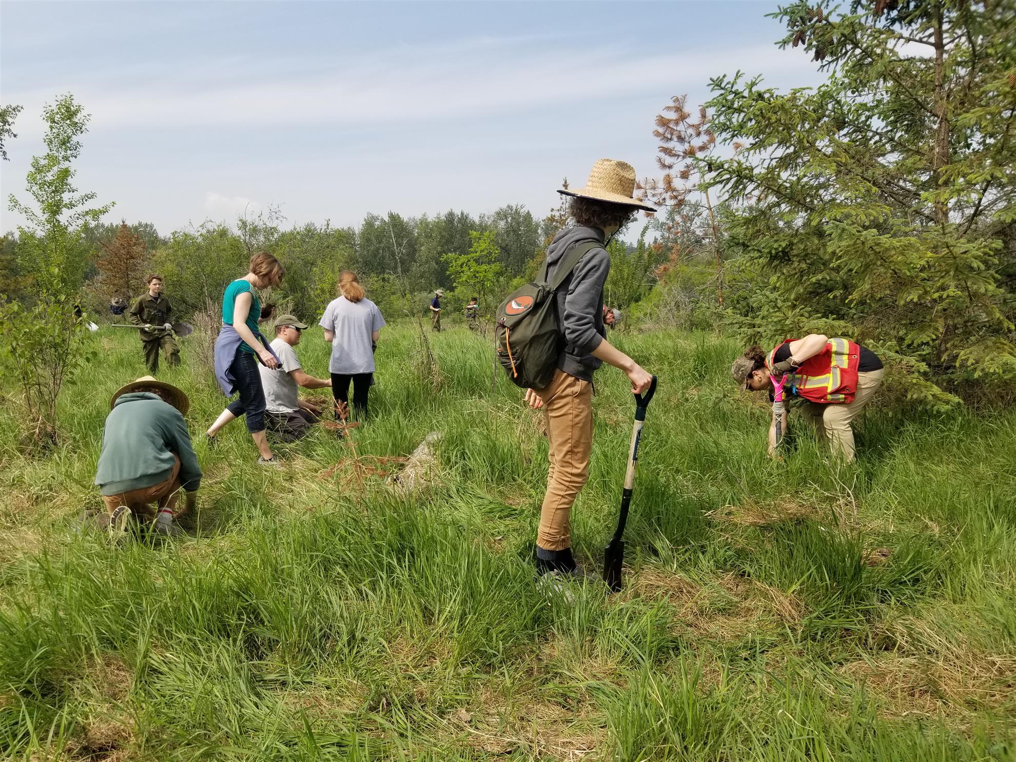 Tree Planting