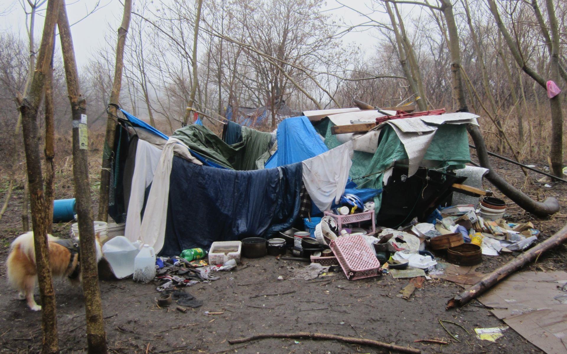 Homeless camp on Don Valley in Toronto