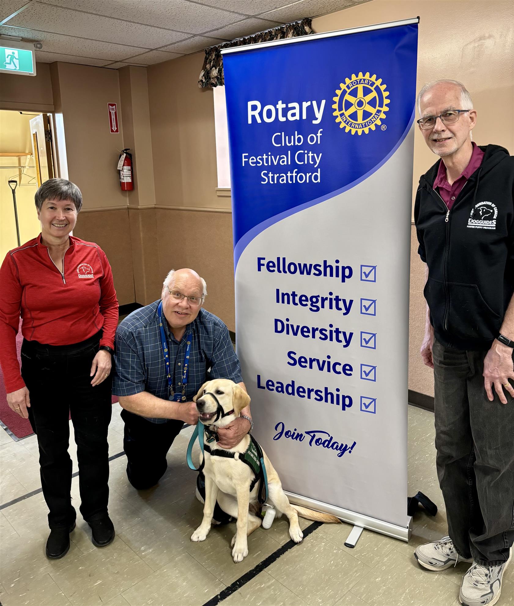 Orly The Guide-Dog-In-Training Meets Rotary