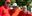 Rotary-2025-banner-image4.jpg