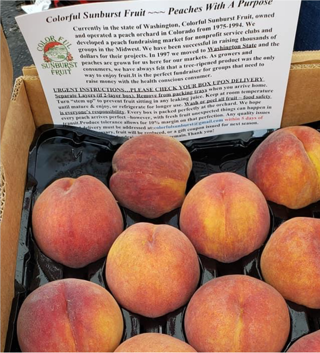 Home Page Rotary Club of Brainerd