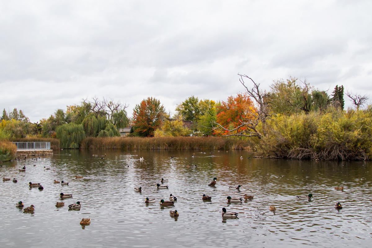 Rotary transforms local Randall Park.... Rotary Club of Yakima Southwest