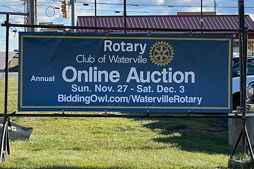 Rotary Online Auction