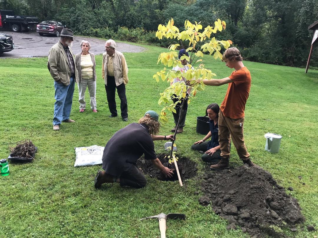 Tree Planting At Rotary Park | Rotary Club of Barre, VT
