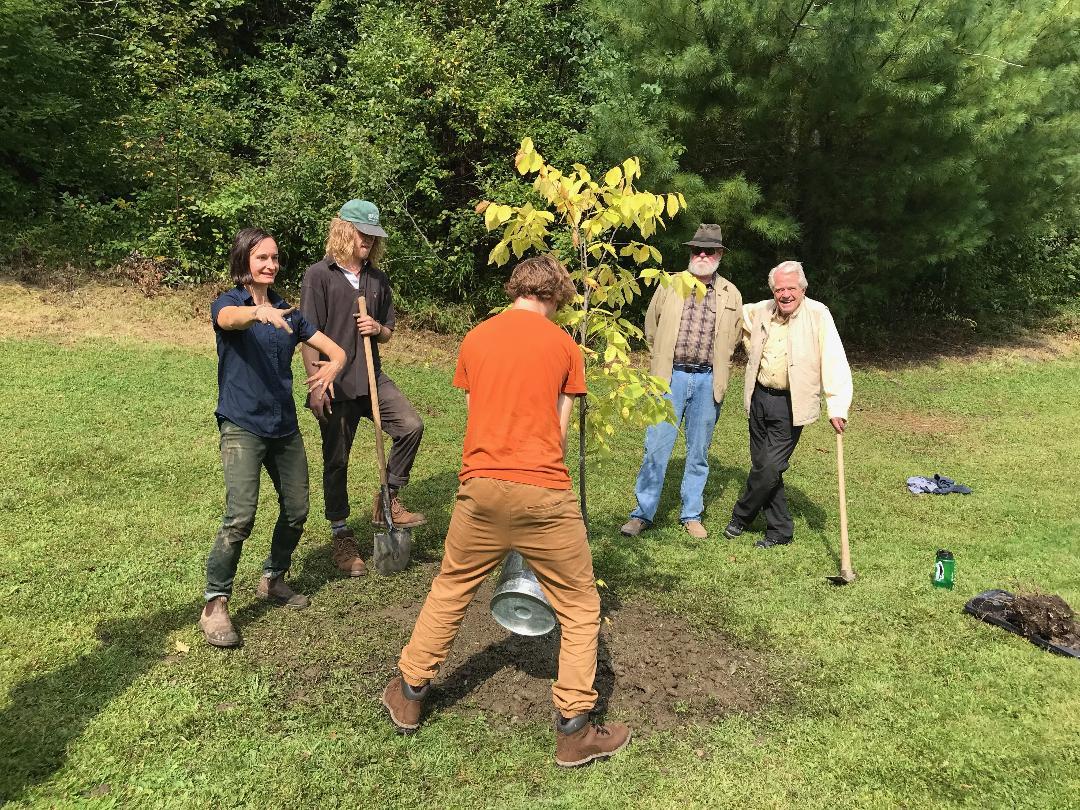 Tree Planting At Rotary Park | The Rotary Club of Barre VT