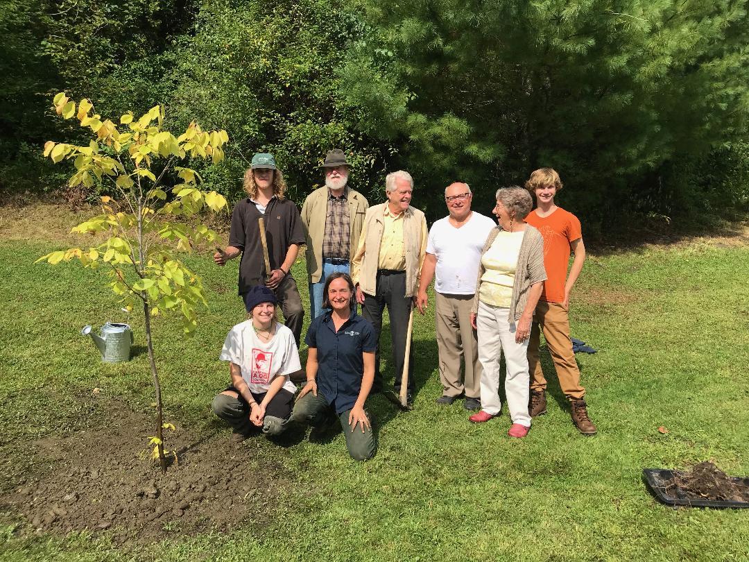 Tree Planting At Rotary Park | The Rotary Club of Barre VT