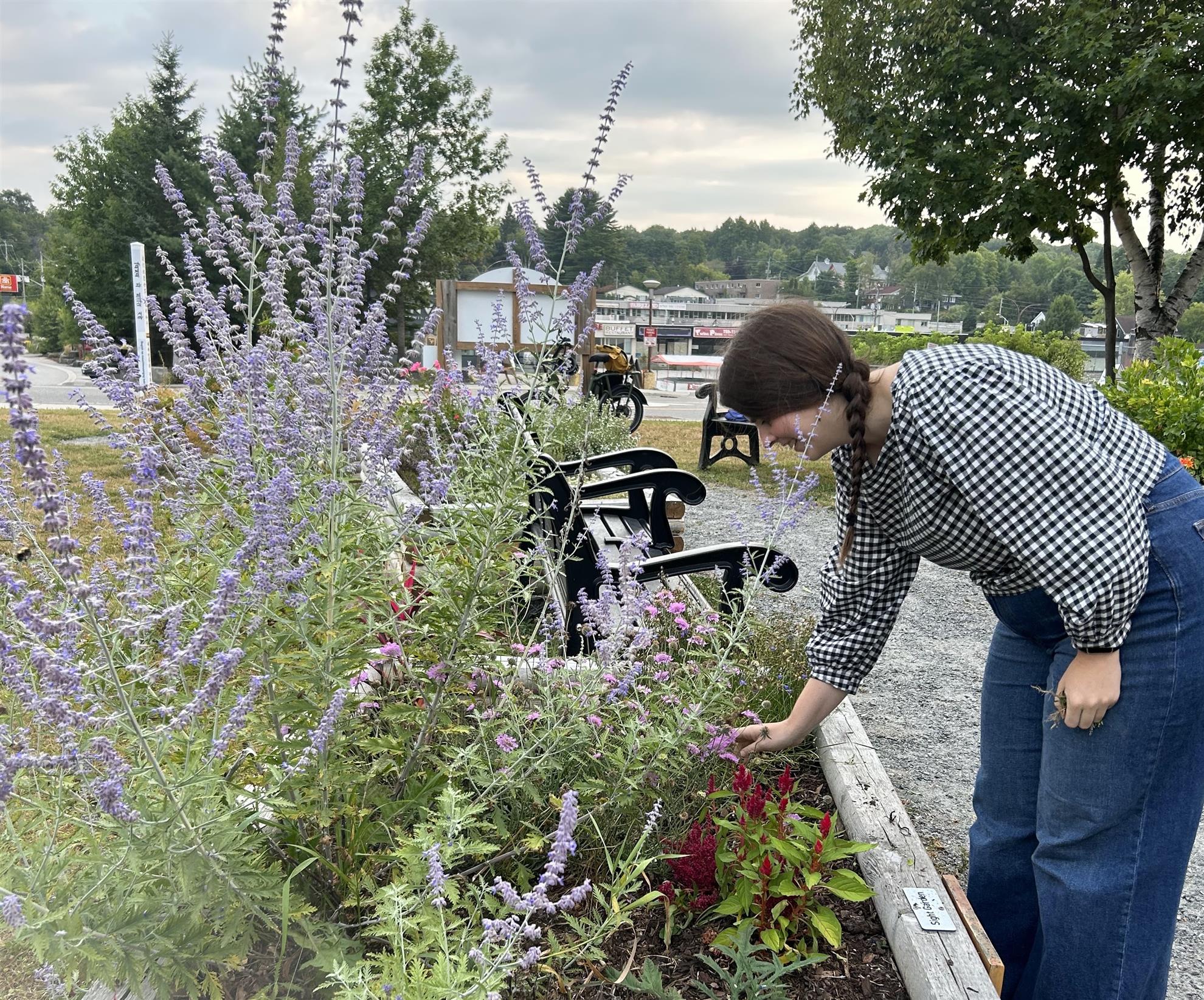 Sight Garden
