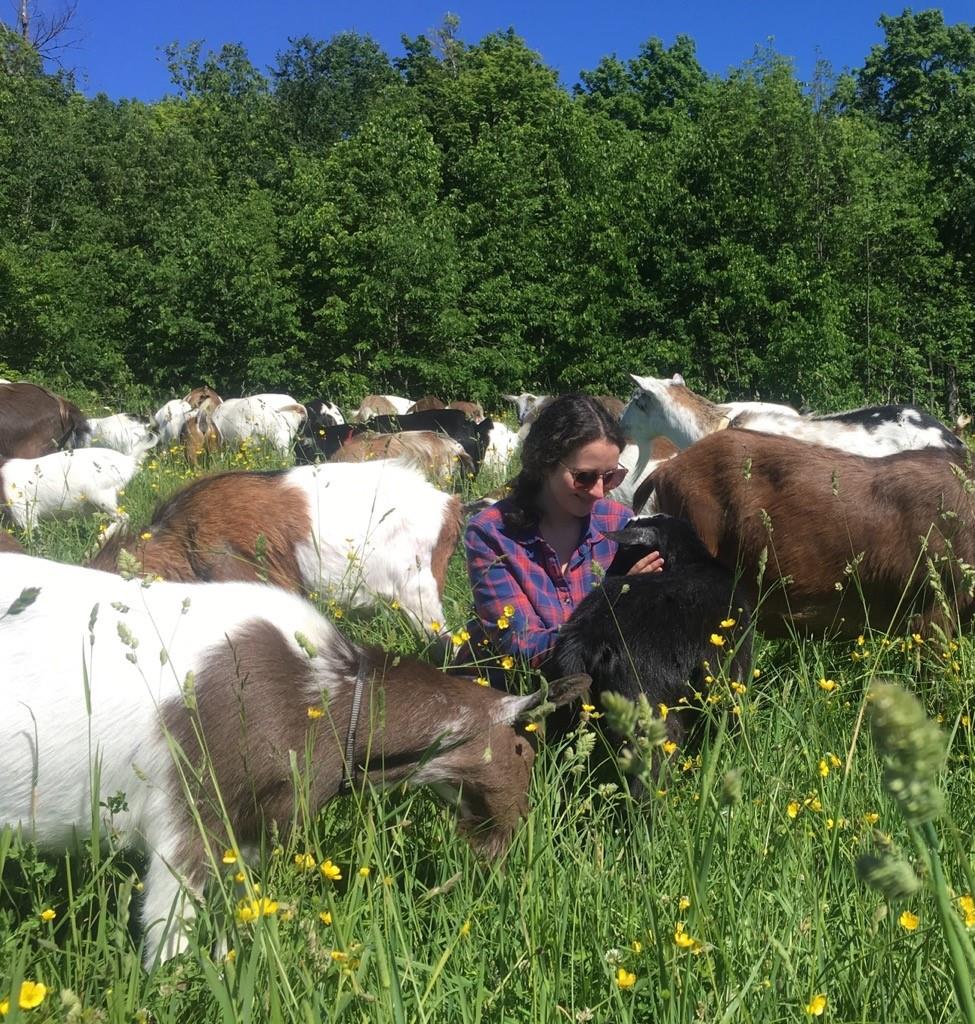 A photo of a woman sitting in a meadow. She is surrounded by miniature goats.