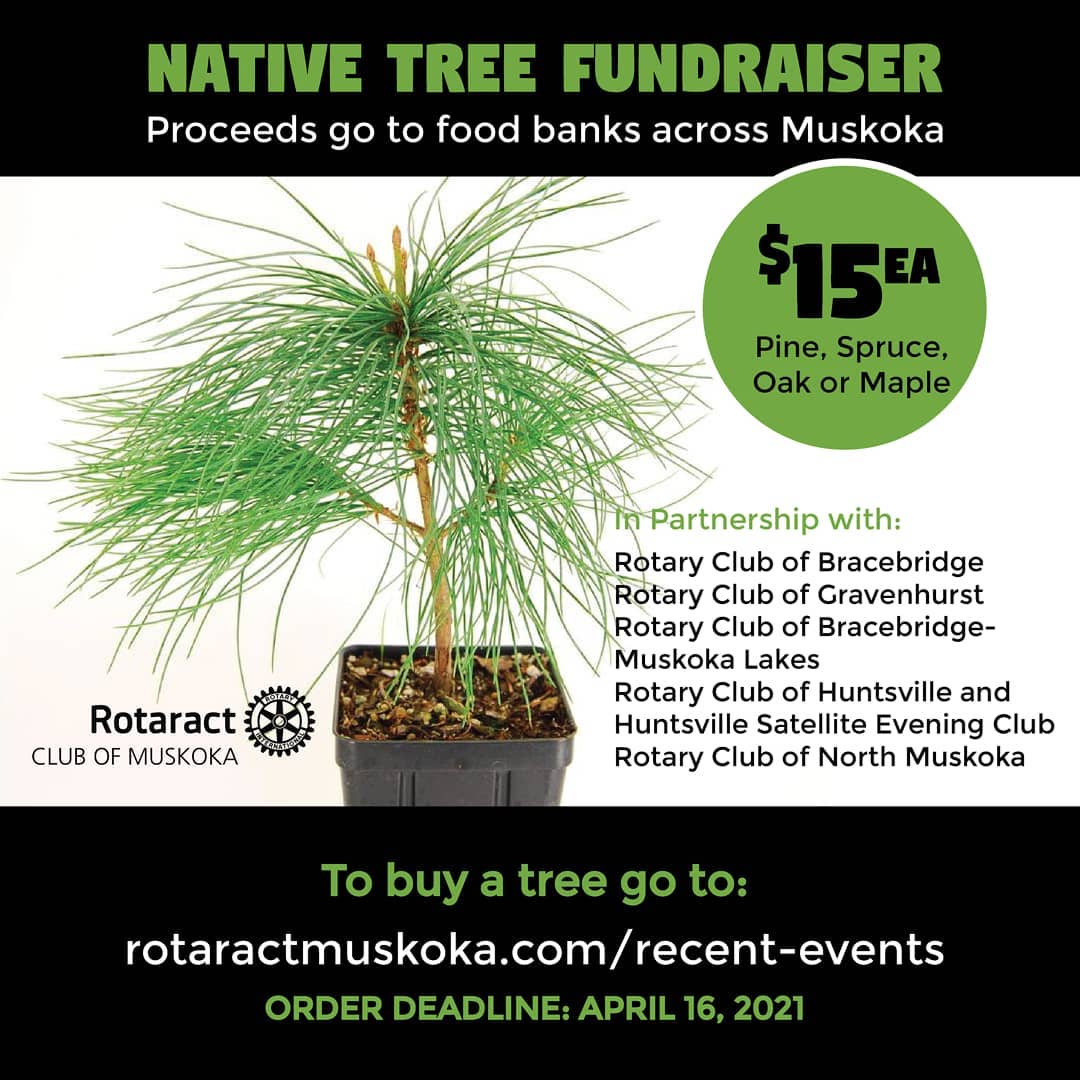 A poster for the Rotaract Club of Muskoka's Native Tree Fundraiser.