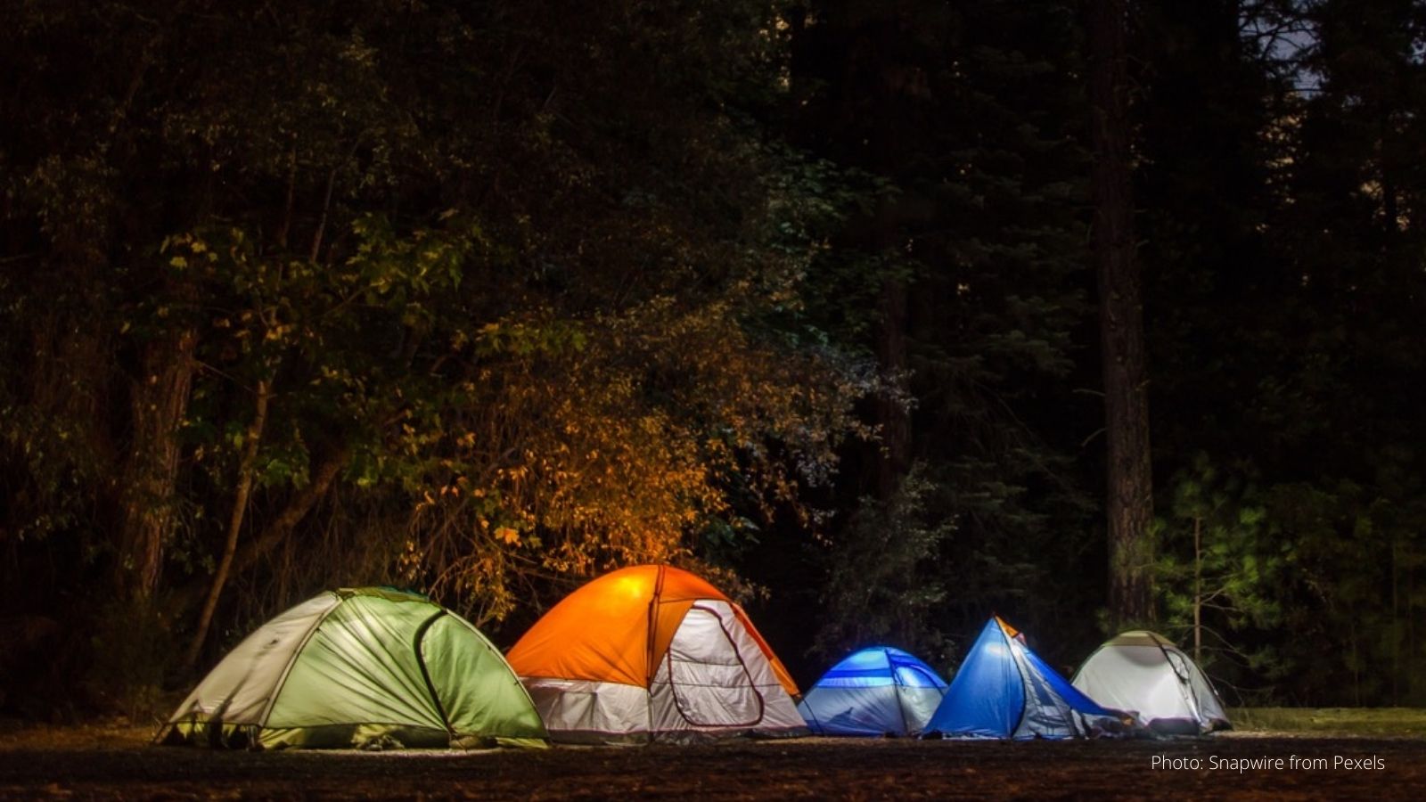A photo of pop-up camping tents at night set up near trees.