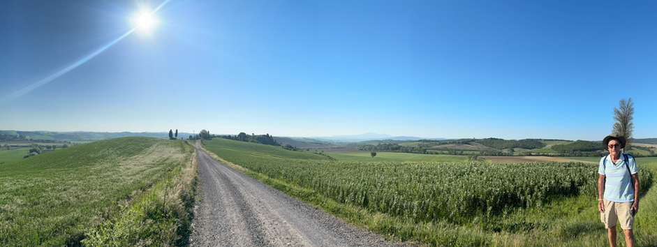 Via Francigena Dispatch 6: Siena to Buonconvento