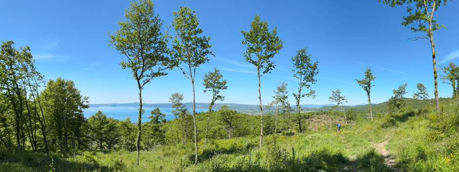 Via Francigena Dispatch 11: Orvieto to Montefiascone